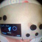 My Panda Shall Fly - Me to the moon