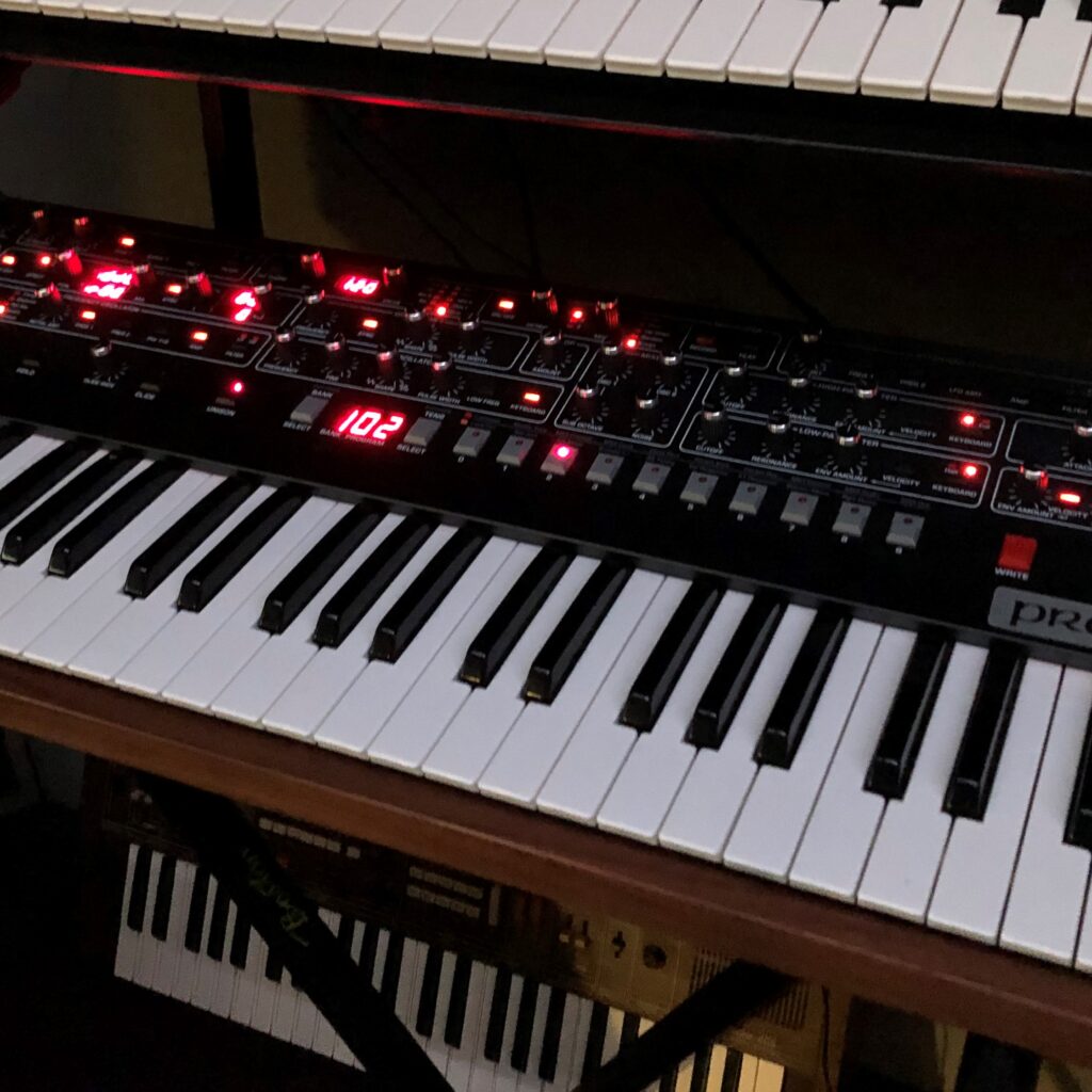 pyn pien prophet 6 sq